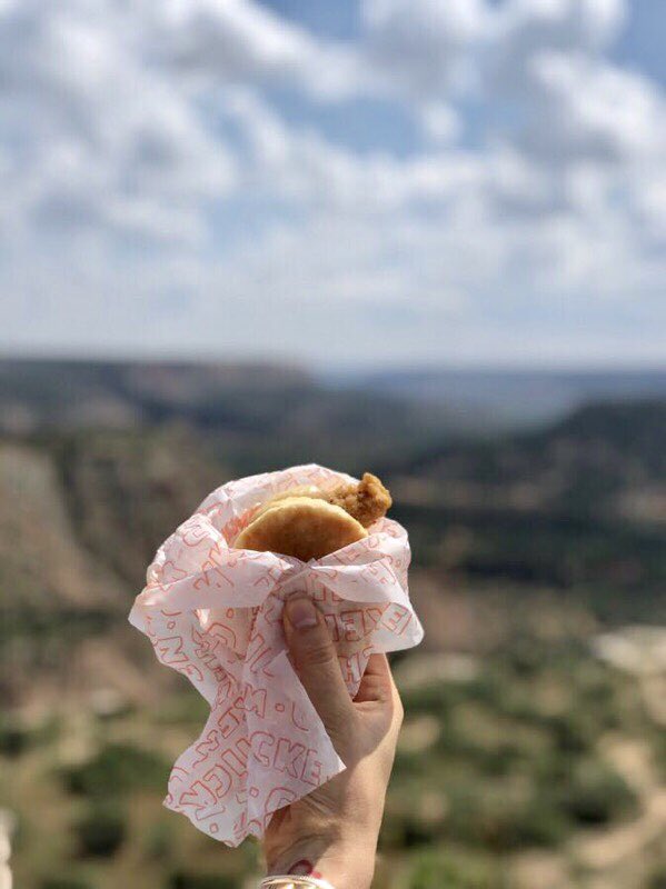 childrenatrisk's tweet photo. Let us take a moment to enjoy this view, because this Honey Butter Chicken Biscuit is just too pretty! Thanks @Whataburger for broadening our horizons! https://t.co/wkm5oRmrhB