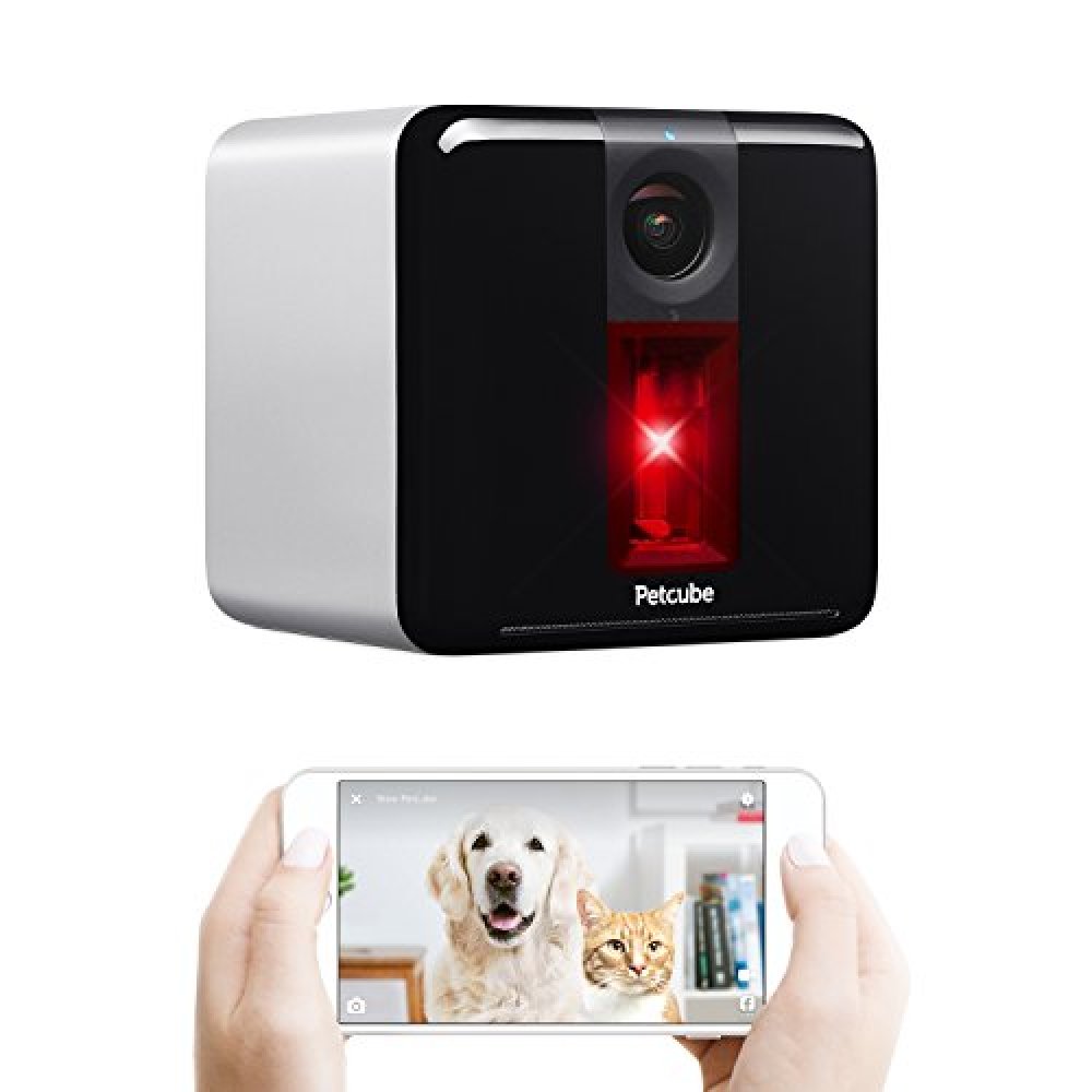 petcube play smart pet camera with interactive laser toy