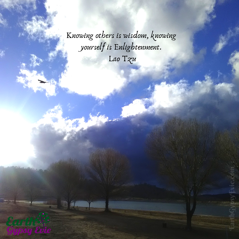 EviesBotanicals's tweet photo. Know thyself.
#laotzu #ravensatthelake #BriteLake #Earthbasedliving #EarthGypsyEvie #holisticwellness #Earthing #connectwithnature #holisiticliving https://t.co/AOFEfAQg3N