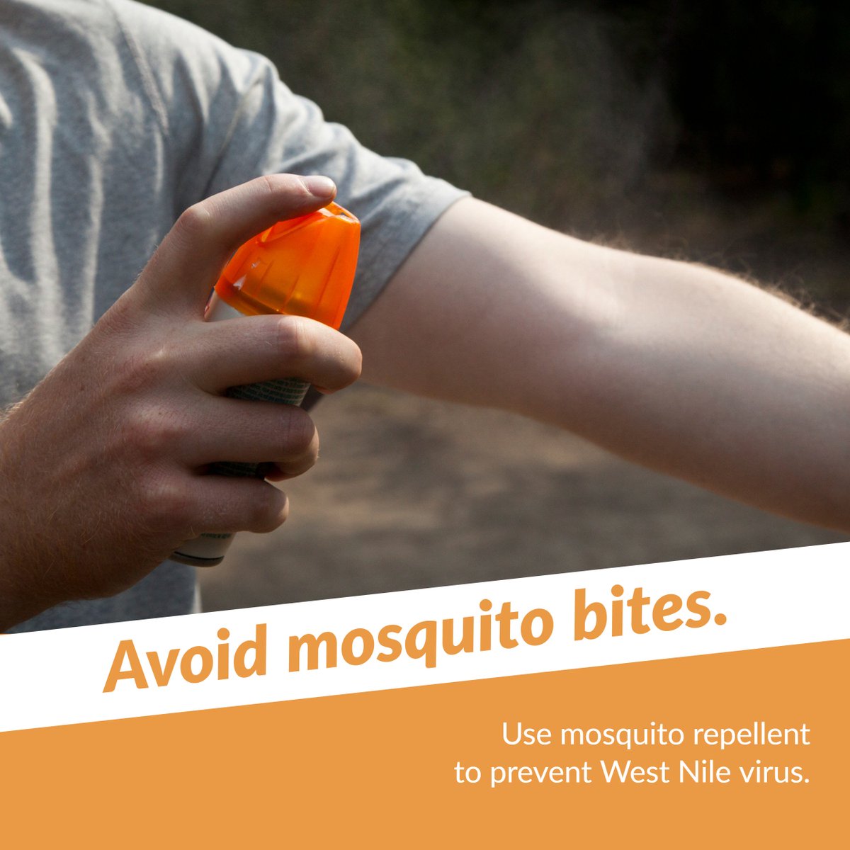 lapublichealth's tweet photo. Mosquitoes spread #WestNileVirus in LA County. Protect yourself and your loved ones from mosquito bites by wearing mosquito repellent when you’re outdoors. Use spray, wipes or lotion. #NotJustABite https://t.co/ATnSLMmVjb