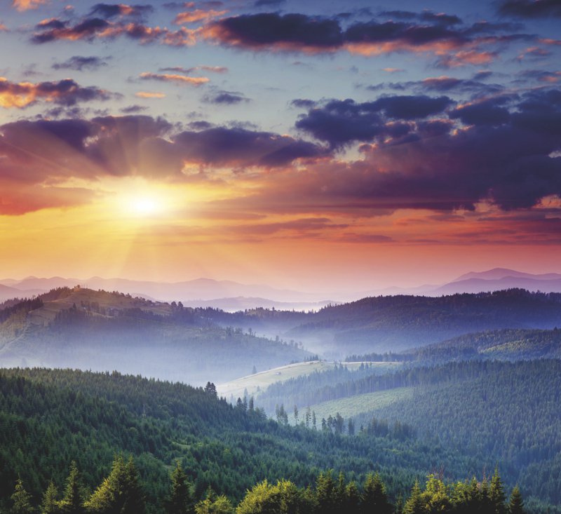 Healing the Past | A popular session that I offer is Healing the Past where you can find out where unwanted feelings, reactions, and habits come from by going back in time ow.ly/Q3u530pvznQ