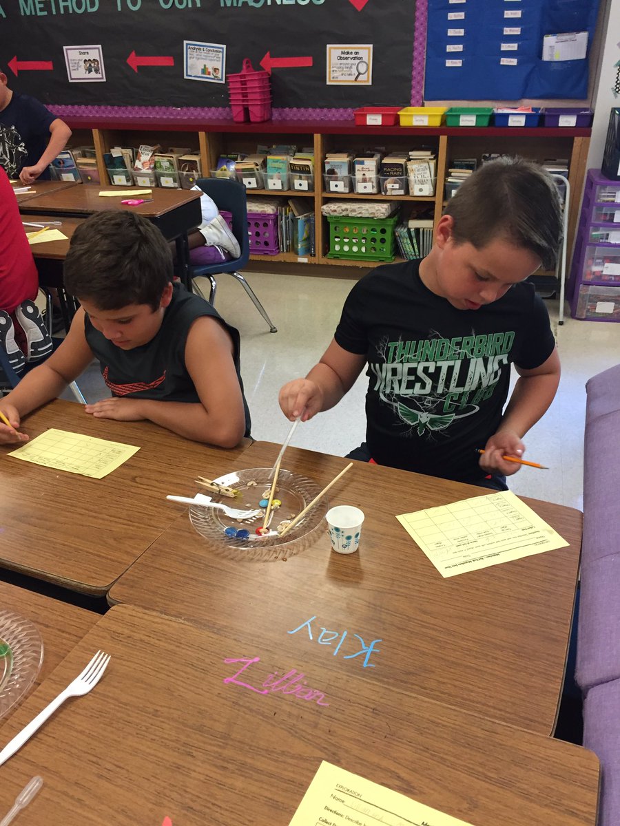 NiftyNicholsRBE's tweet photo. Science is for the birds! The scientists of Room 21 are researching the impact of animal adaptations by simulating various bird beaks. #rareclothespinbird #usingchopsticks #wearerbe #cpsscience101 https://t.co/y8HUbGzM4B