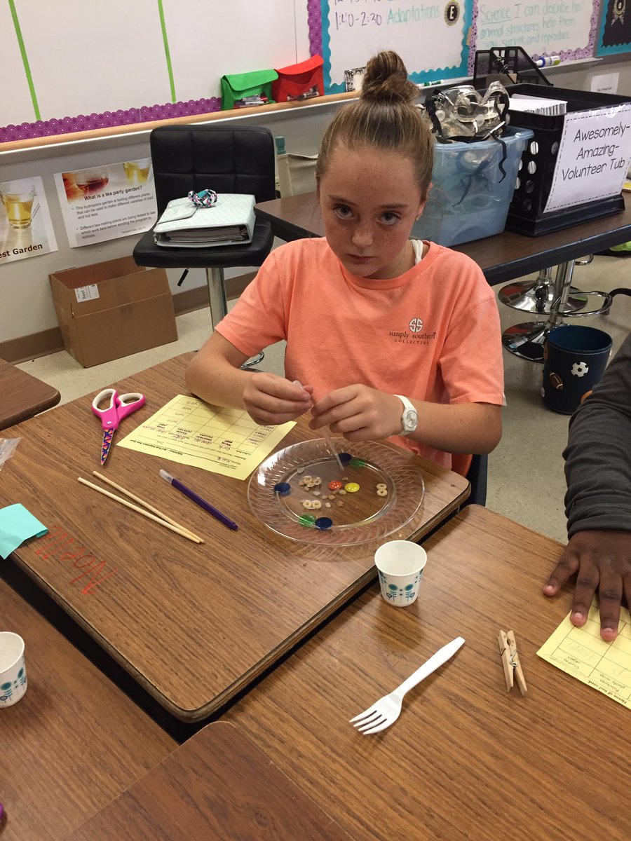NiftyNicholsRBE's tweet photo. Science is for the birds! The scientists of Room 21 are researching the impact of animal adaptations by simulating various bird beaks. #rareclothespinbird #usingchopsticks #wearerbe #cpsscience101 https://t.co/y8HUbGzM4B