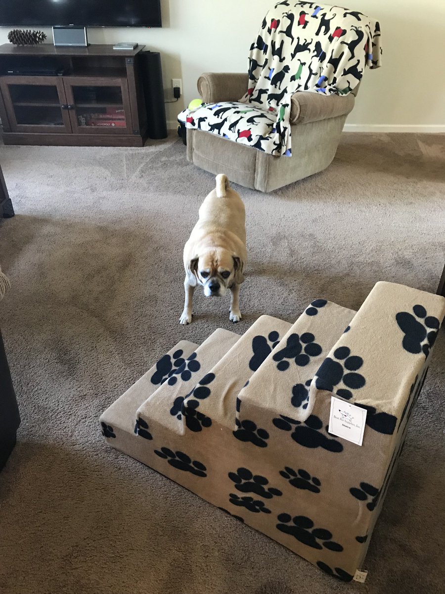 mutt2211's tweet photo. He’s getting old folks. Old man steps for bed time https://t.co/M0DTxQuZrI