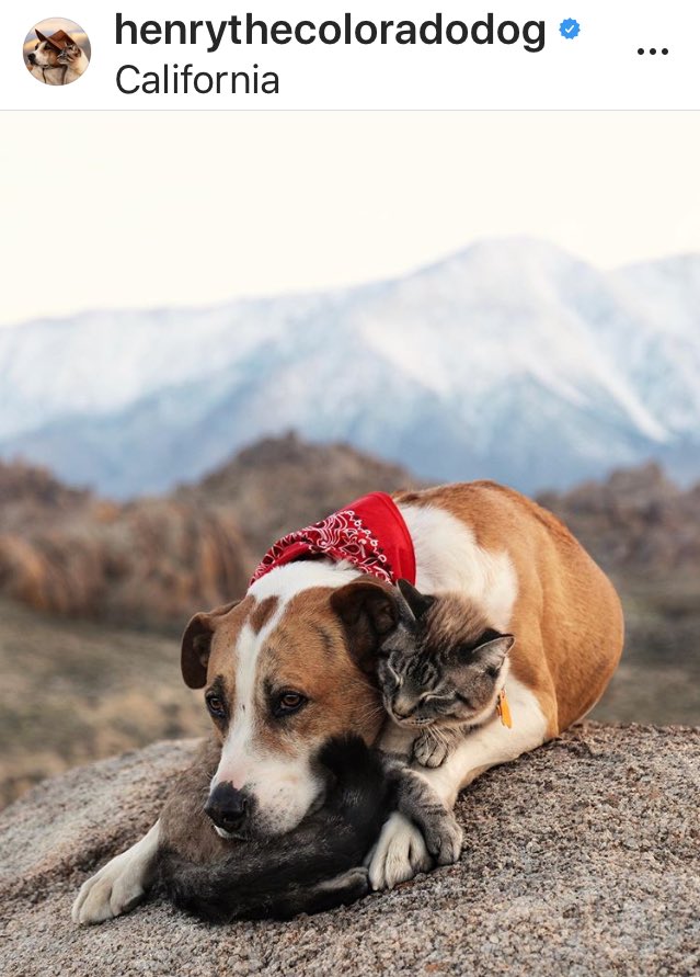 J2AsAnimals's tweet photo. #J2AsAnimals ππππππ https://t.co/QwCdQL9gM7