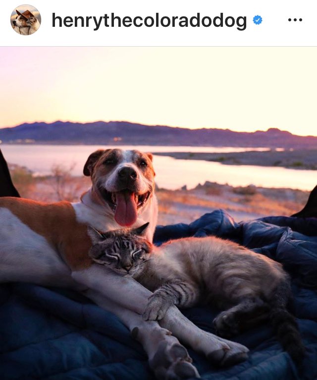 J2AsAnimals's tweet photo. #J2AsAnimals ππππππ https://t.co/QwCdQL9gM7