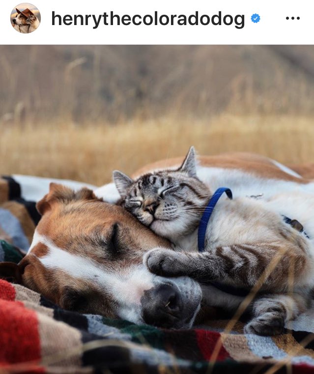 J2AsAnimals's tweet photo. #J2AsAnimals ππππππ https://t.co/QwCdQL9gM7