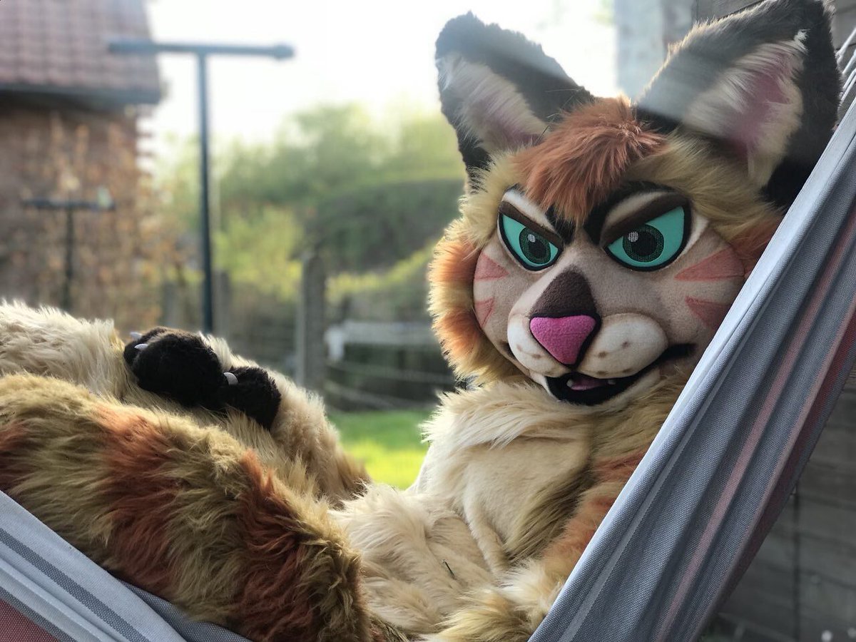 Mylunee's tweet photo. After #DutchFurDance (October 19th) I'm selling Chester. It's a lovely fursuit but I lost connection to the character. Already posting this to see if anyone is interested in him😊
-Digitgrade fullsuit
-Gorgeous (sewn to body) indoor feet made by @FurryFursuit_M
> https://t.co/eKBcP0pZaV
