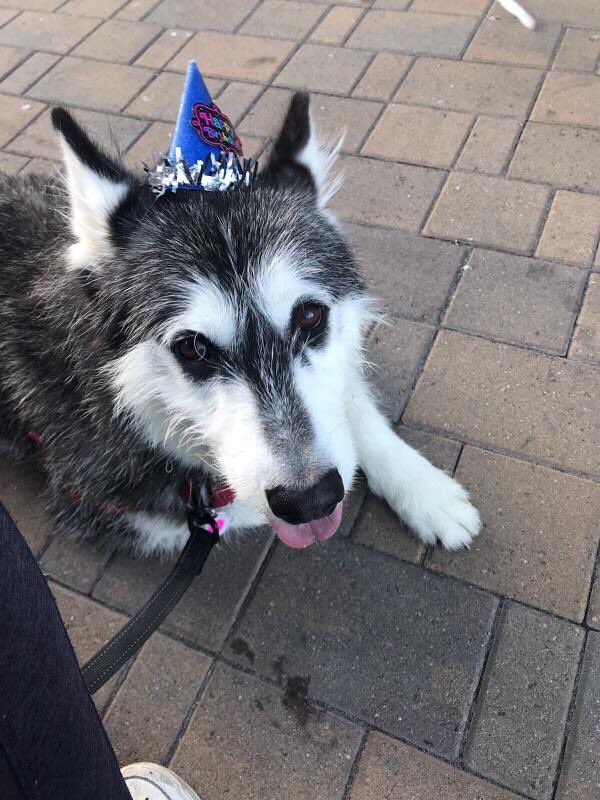 Bernal Beast tweet media