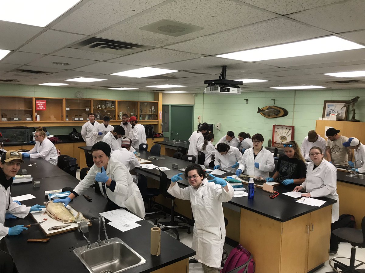 namespetra's tweet photo. There’s just something about this lab that makes me want to take photos every year.  #FishAnatomy @SaultCollege #FishAndWildlife https://t.co/2k6bGKi7ug
