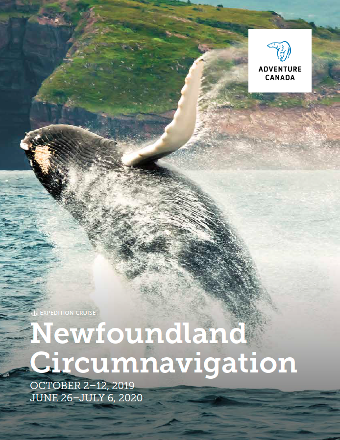 EmergDest's tweet photo. Do you Suffer from a serious case of culinary curiosity? Check out  @AdventureCanada: Taste of Place cruise, #Newfoundland Circumnavigation 2019-20 https://t.co/6Uddy8dLMu #adventure #cruise  #TasteofPlace #foodies #immersiveculinaryprogram #landandsea #newrecipes #experiencefood https://t.co/dfpe27APmt