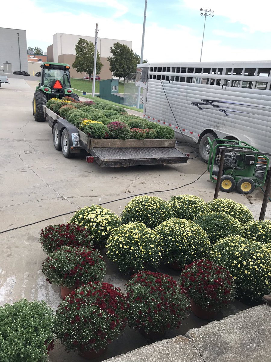 NWTechSchool's tweet photo. We have lots of beautiful mums for sell for $15! Stop by the Tech School office or the AG greenhouse to get yours today! #NWTechFFA #NWTech #Mums #Fall https://t.co/5xURg4GbM1