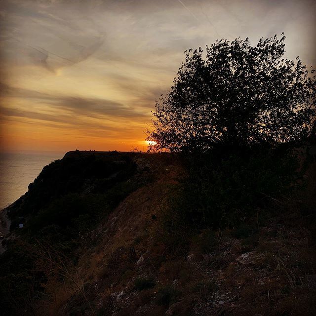 flowerbg's tweet photo. #seaside #sunset #colors #coast #rocks #sun #tree #happytime #metime #photography #lovesea #lovetravelling #justbehappy #flowerts https://t.co/bQbSXGCY1S