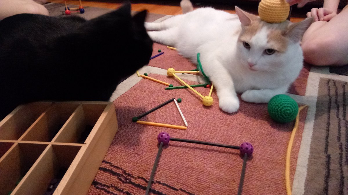 PictureofaHS's tweet photo. Today we discovered that cats love geometry, who knew! Working on polygons, vertices, and sides. Cats are optional, but add an extra element of interest &amp; danger.
#PictureofaHomeschool #mathmanipulatives #homeschool #mathlesson #geometry #mathcats #spielgaben #math #lifeschooling https://t.co/hllqhoJXjL