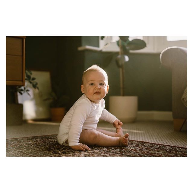 CharRawles's tweet photo. He’s been nearly sitting for over a month but the last week he has finally mastered balancing. Still quite wobbly and at nearly 7 months old he’s the latest to sit out of all my babes but he’s also the fattest soooo 🤷🏻‍♀️ https://t.co/YTxCh9EAas https://t.co/ROjb2qnDx2