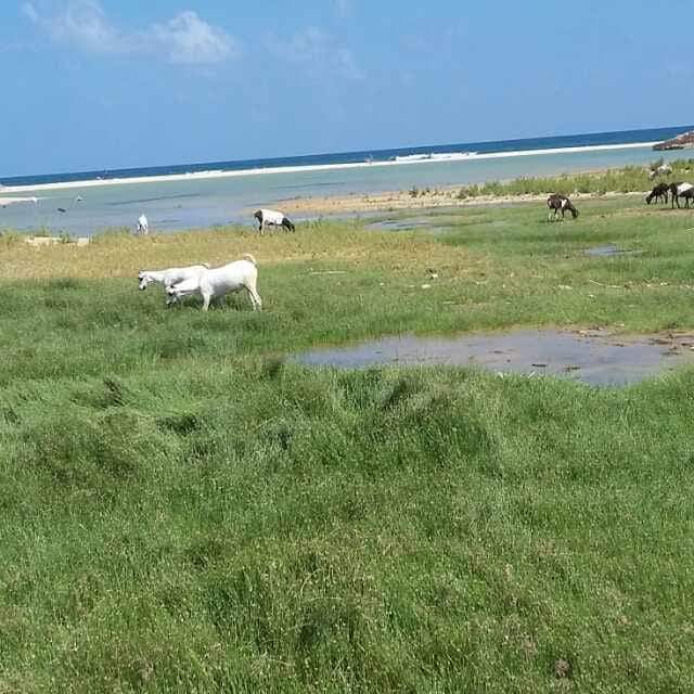 04Geelle's tweet photo. Somalia. What strategic place it is. https://t.co/pxIib9qzWp