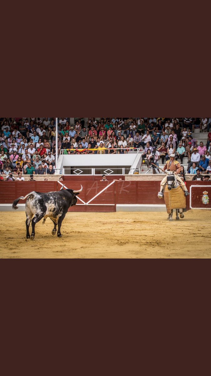 SanAgustinFeria's tweet photo. Dos de los grandes nombres de @Villasecatoros estarán en #Moncalvillo2019
🏆 Diego San Román @Dsanroman
🐎 Tito Sandoval

El próximo 14 de Septiembre llegan el mejor picador y el Alfarero de Oro 2019.

Enhorabuena a @Villasecatoros por su gran feria. Sois un ejemplo. https://t.co/QBeJKVHKZ5