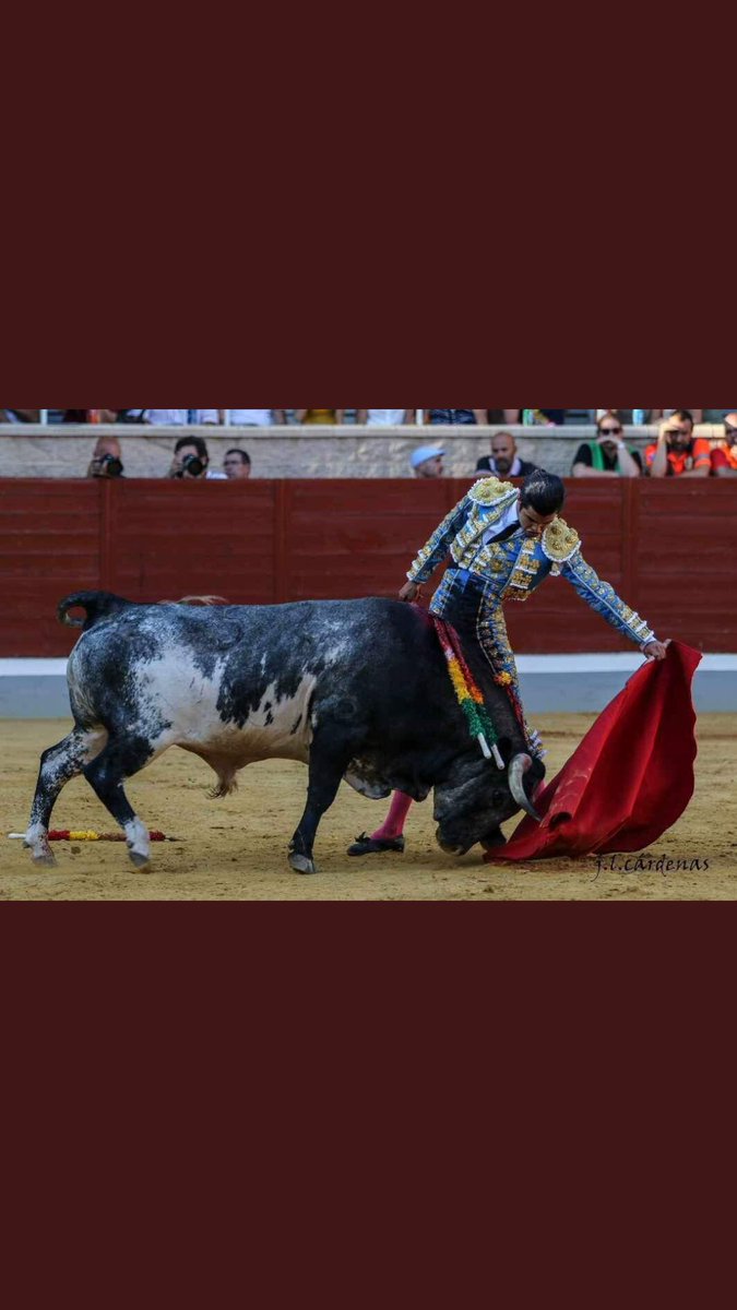 SanAgustinFeria's tweet photo. Dos de los grandes nombres de @Villasecatoros estarán en #Moncalvillo2019
🏆 Diego San Román @Dsanroman
🐎 Tito Sandoval

El próximo 14 de Septiembre llegan el mejor picador y el Alfarero de Oro 2019.

Enhorabuena a @Villasecatoros por su gran feria. Sois un ejemplo. https://t.co/QBeJKVHKZ5