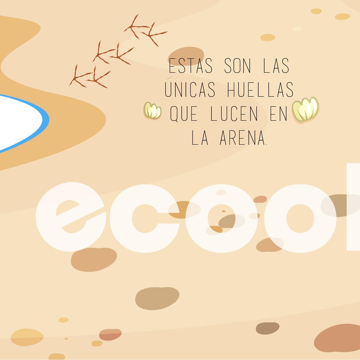 ecoolwear's tweet photo. Tenemos que cuidar nuestras playas, que las únicas huellas que se vean sean la de animales #0basura y contaminantes. #BeEcoBeCool #ecoolwear #modasostenible

#sustainablefashion #ecofashion #savetheplanet #gogreen #zerowaste #recycle #nomoreplastic #stopplastic #savetheocean #eco https://t.co/MwahvDx2tI