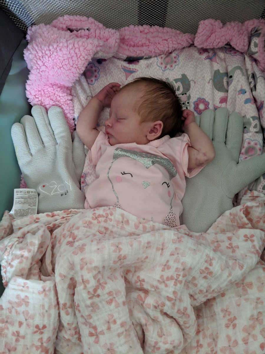 nurturedbdesign's tweet photo. @KatyTurNBC We would love to send you a @TheZaky HUG so your baby stays with your scent and feel when you go back to work tomorrow. Watch video from @Oprah in our homepage https://t.co/iYI8JfKAAO https://t.co/BiVuq7Q7ro