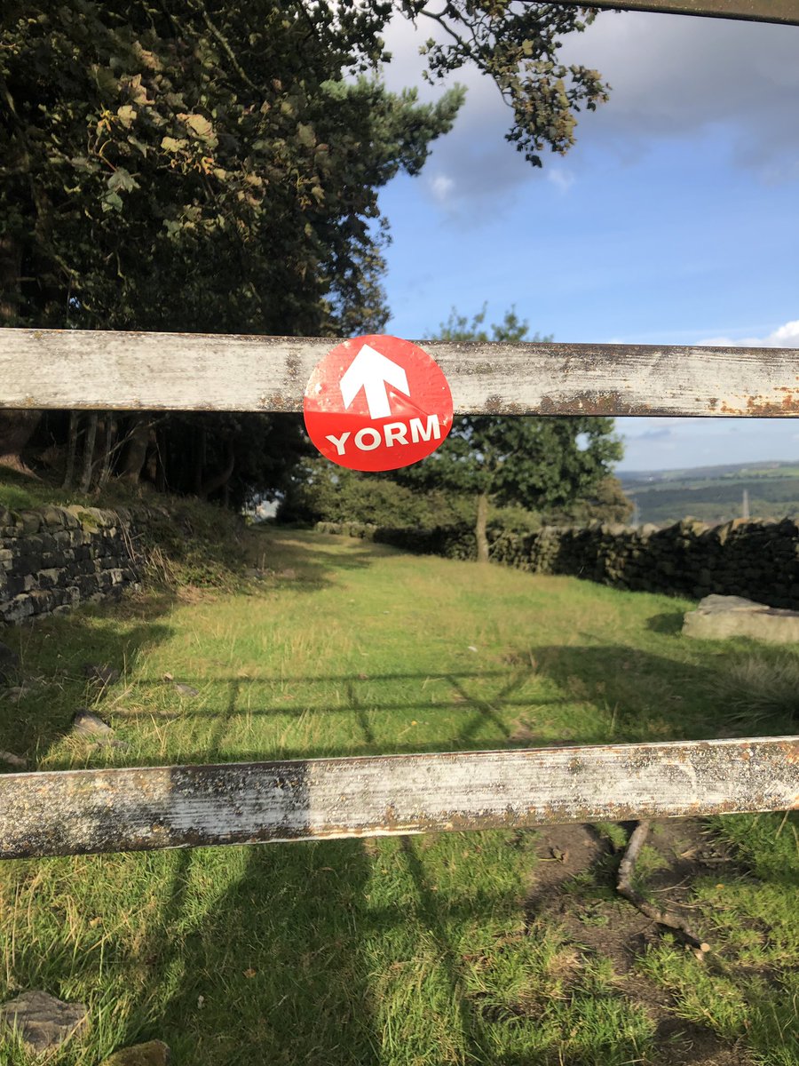 jonah1975's tweet photo. Feeling well recovered and rested after the Yorkshireman #YORM cracker of a race glad to get one done β
very happy with 15th on the day #fellrunning https://t.co/t1s6euquXj