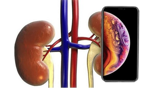 Shubham91125101's tweet photo. Idea of iPhone wallpaper is copied from kidny ..... finally we got it! #iPhone11 #AppleEvent https://t.co/RsBARx1VB2