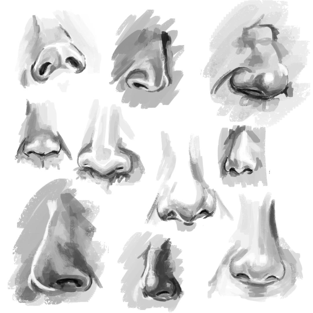 Sefikichi's tweet photo. Another #Draw20 practice - noses! #drawing https://t.co/Pbyu2sEl7J
