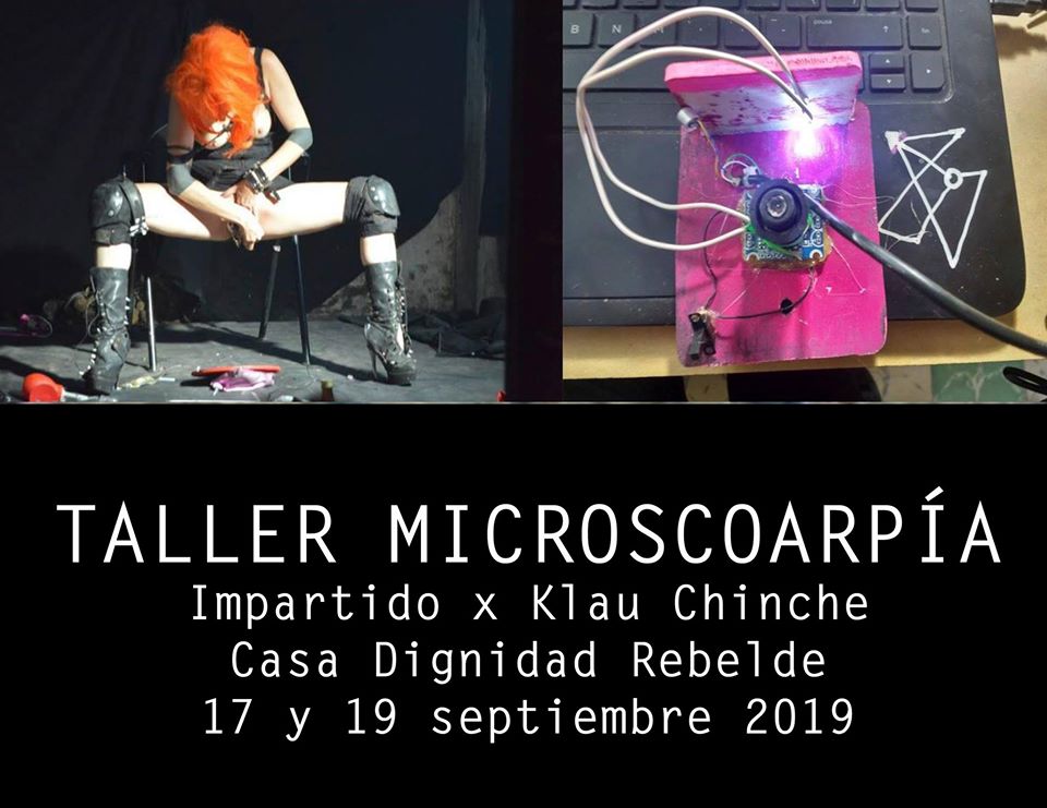 gynepunk's tweet photo. PROXIMAMENTE EN MONTERREY: 
Taller MicroscoArpia!

https://t.co/nsWbi5j83B https://t.co/BPAuGkzHCK