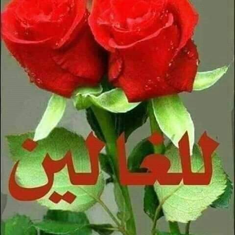NBenharon's tweet photo. @ookoo444 https://t.co/WIyeaKvjOe