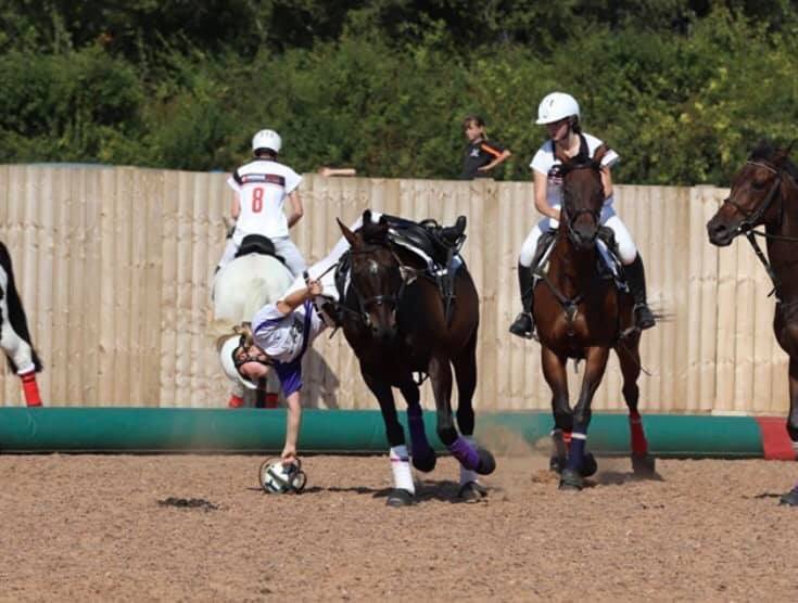 Repost ♻️ from Leah Fenton - 23 days until the Champions League!
The lovely Heatwave is kindly sponsored by <a href="/JLMMortgageSvs/">JLM Mortgage Service</a>
&amp; our fantastic Team Sponsors: 
<a href="/RBEquestrianLtd/">RB Equestrian Ltd</a>
#EdgeConstruction
💙🐴⚽️💙