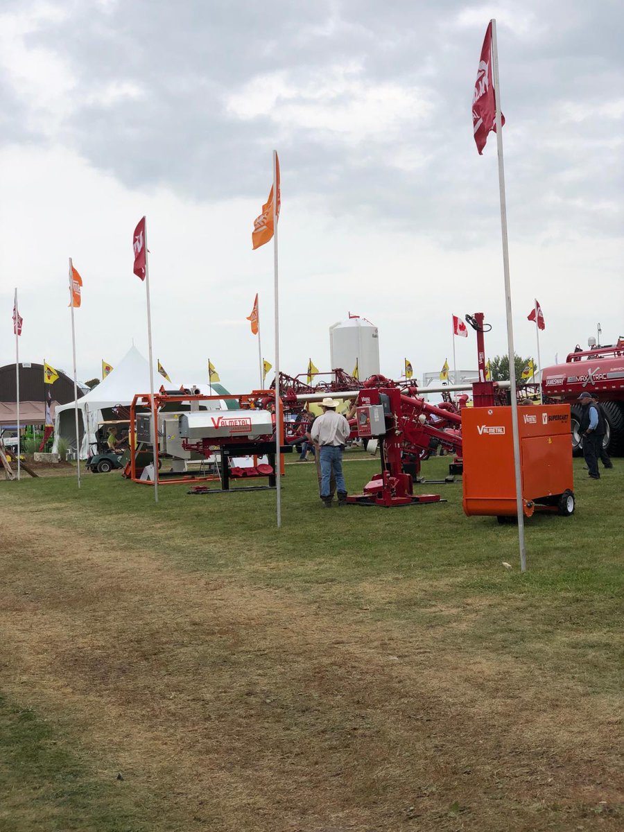 DortmansBros. tweet media