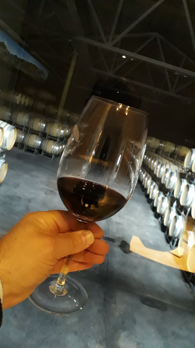 Morir-se de Amor tweet media