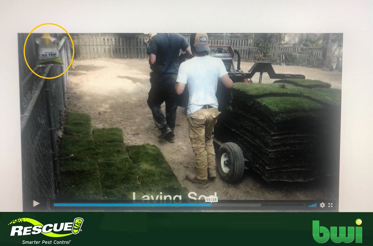 jordanatbwi's tweet photo. #thelatestbuzz @rescue Disposable Fly Traps are great for job sites in hot, humid conditions (hello Alabama heat 🥵). Size up to the Big Bag Fly Trap for those areas with heavy fly infestations, such as farms and ranches. #wearebwi #flyfree #rescuepestcontrol https://t.co/50SBt0WjfV