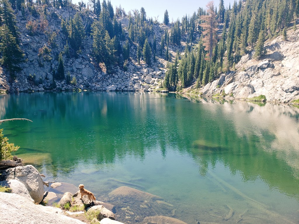 Alisyng's tweet photo. The climb was worth it!
#getoutside #lakechallenge #swoonalert #trailtails https://t.co/qEZu46roql