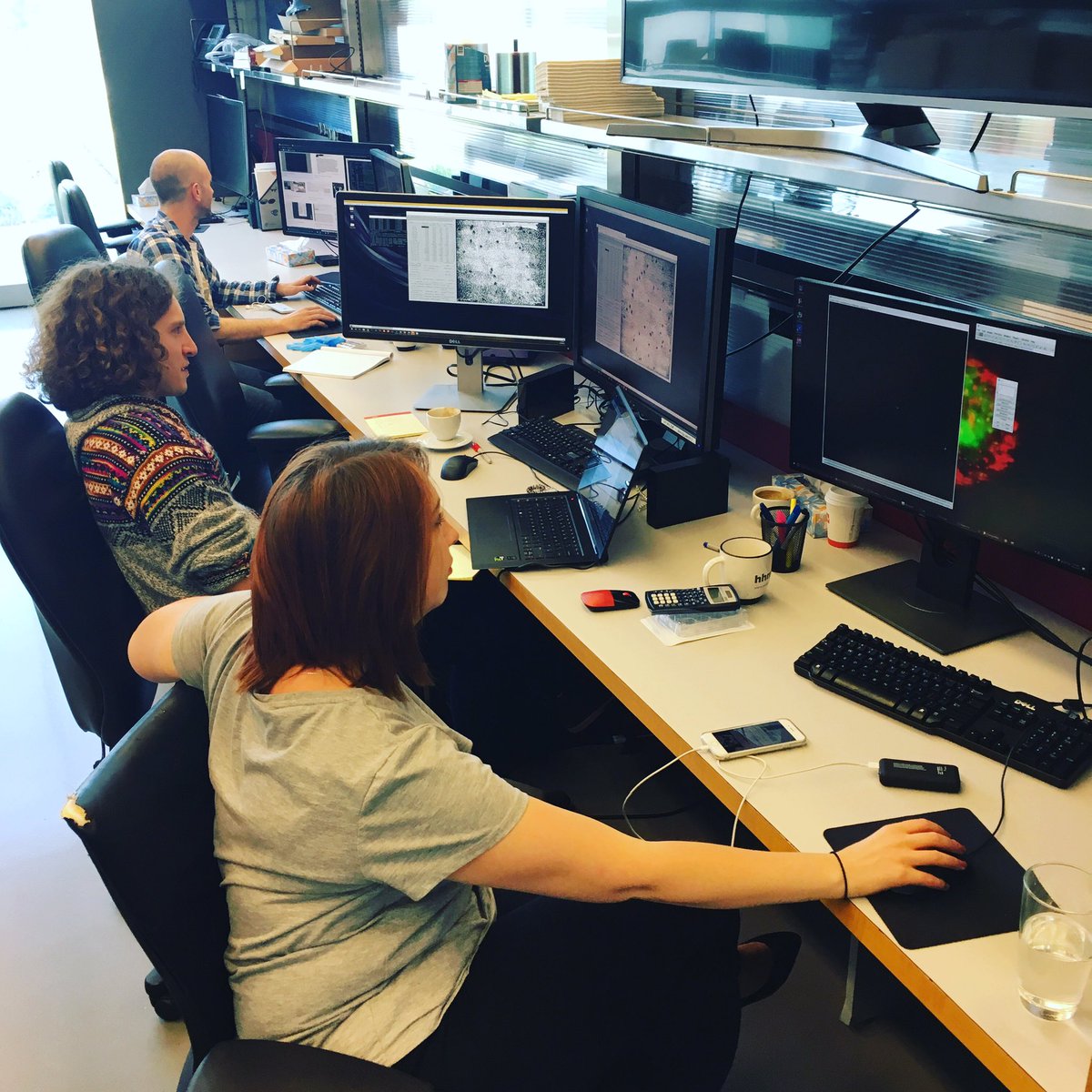 Ulrike_Boehm's tweet image. After the #imageacquisition on @AICjanelia’s scopes is before the image processing / analysis of the data on @HHMIJanelia’s cluster - @DawneyNicole (@BergstralhLab), @CellsAndCulture &amp;amp; Ian (@BakalLabICR) are rocking it on #simview &amp;amp; #ipalm! 🔬😀 #lightsheet #superresolution