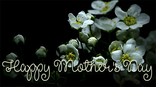 Happy Mother Day 2019 on Twitter: 