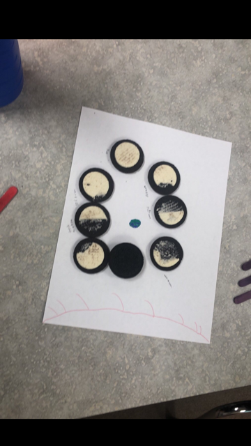 Lisa Wright tweet media