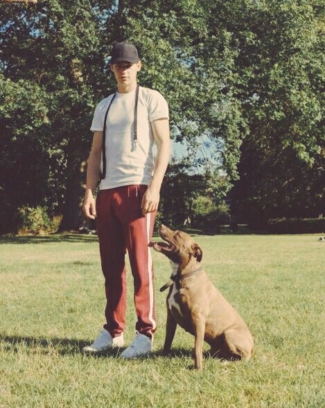 hero fiennes (@herootf09) on Twitter photo 