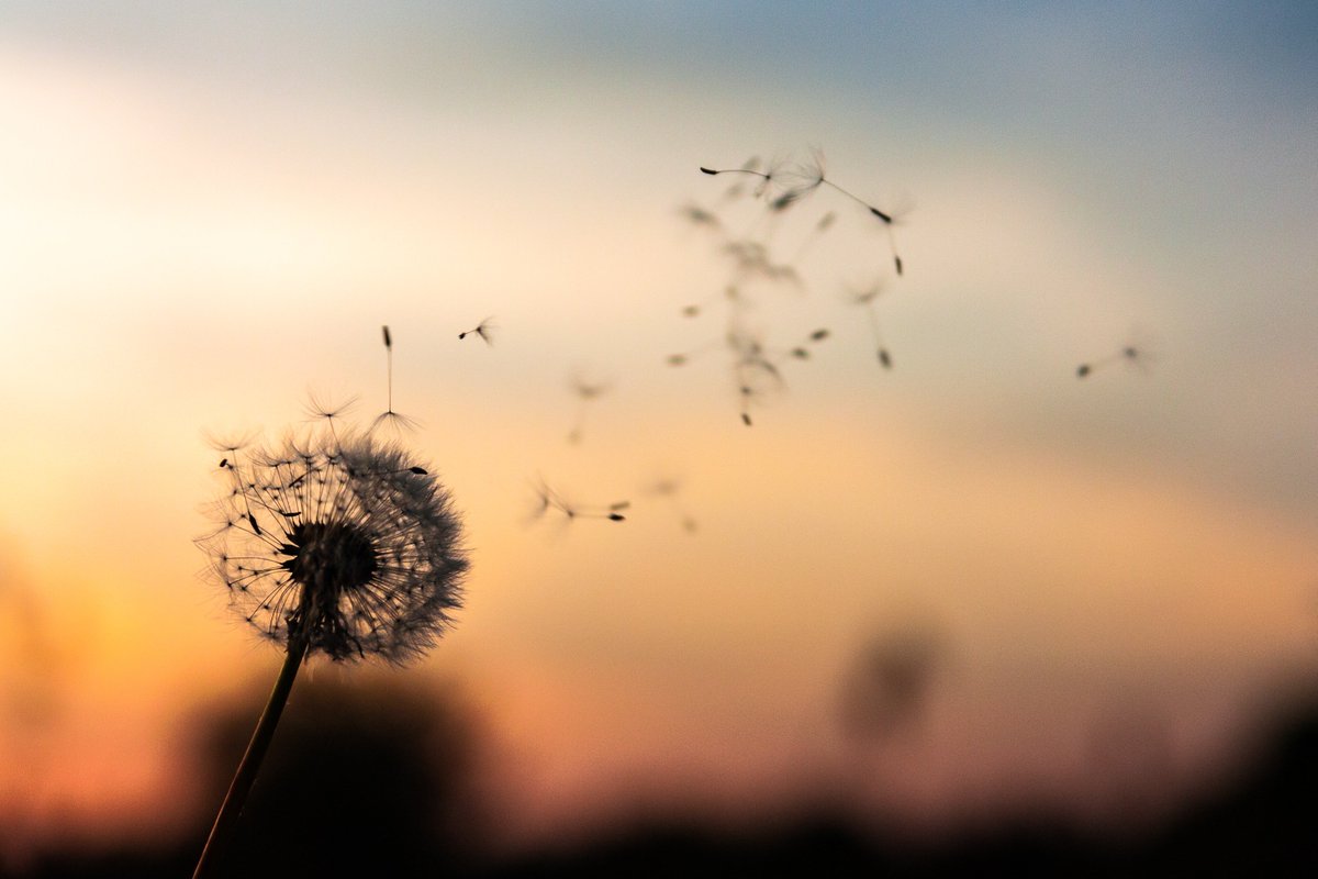 Exequielcontrer's tweet photo. Tienes una idea. Ponle amor, pasión, fe, confianza.
Vive para hacer realidad tus sueños.
  MARCELO BERENSTEIN

#felicidad #emprender #liderazgo https://t.co/S9vp92vML1