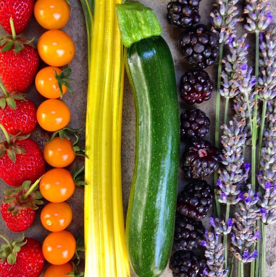 Hidden Villa tweet media