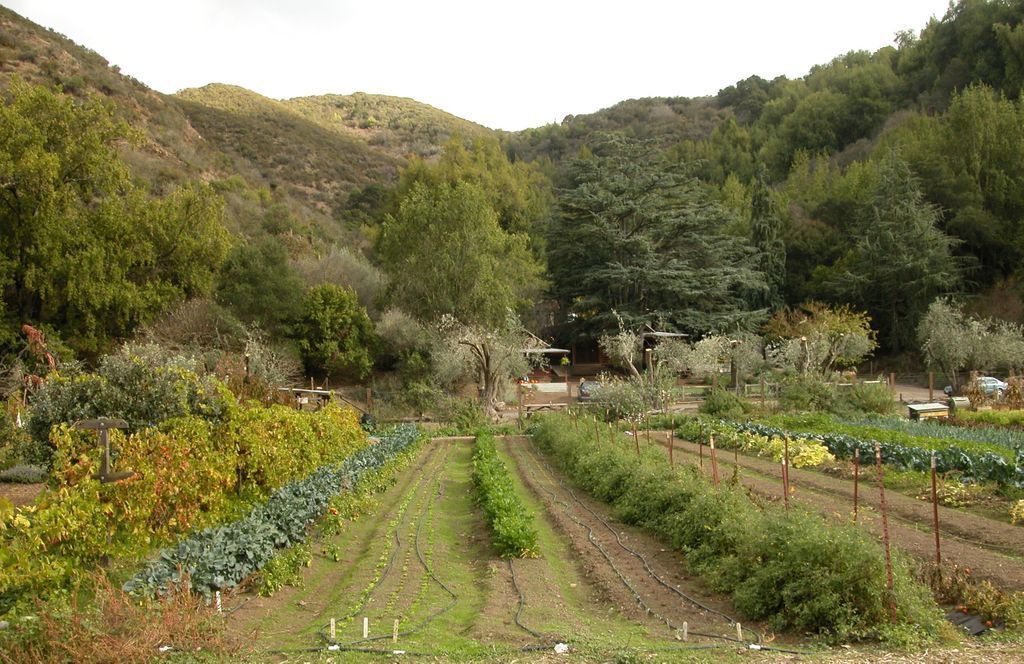 Hidden Villa tweet media