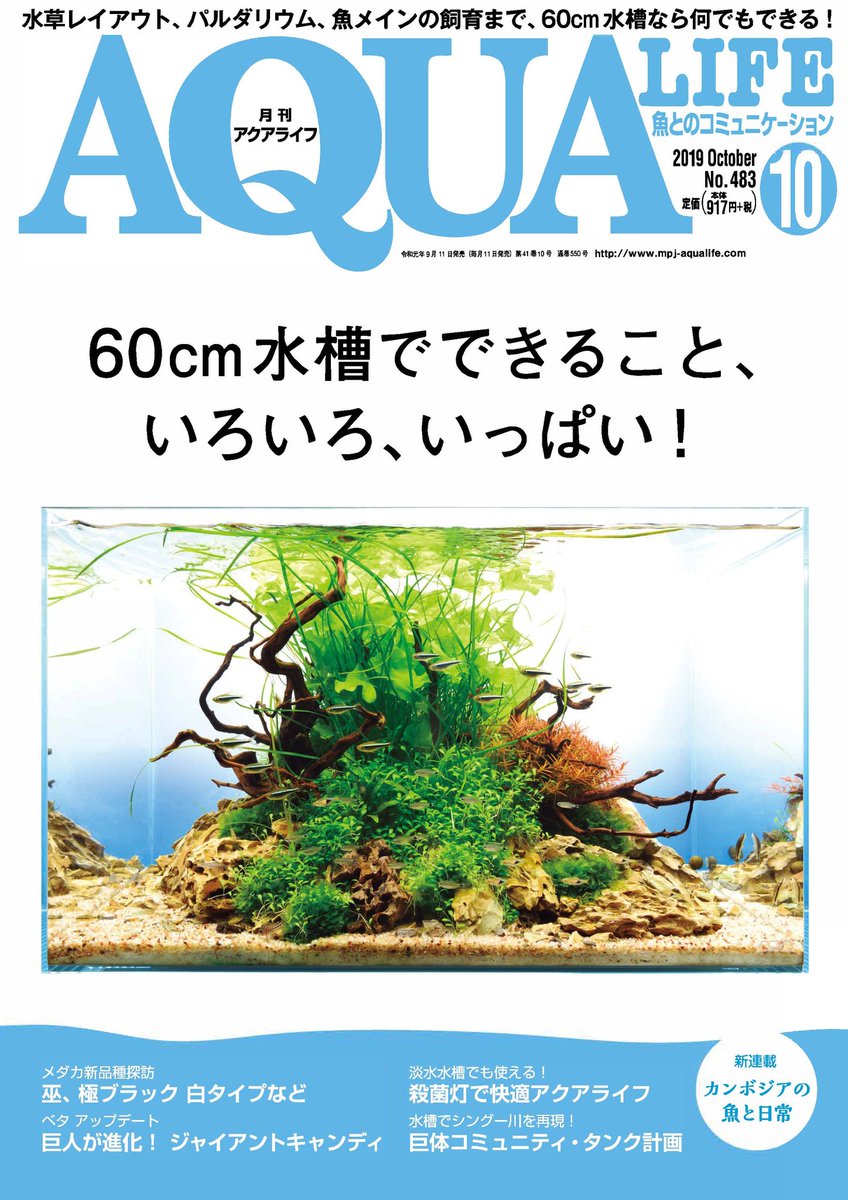 Mpj 販売促進部 على تويتر 本日発売 アクアライフ 10月号 は本日 9月11日 首都圏基準 発売です 特集は 60cm水槽 でできること いろいろ いっぱい 60cm水槽 でできる思いつく限りのことをご紹介しながら その自由さを再確認します 熱帯魚 観賞魚