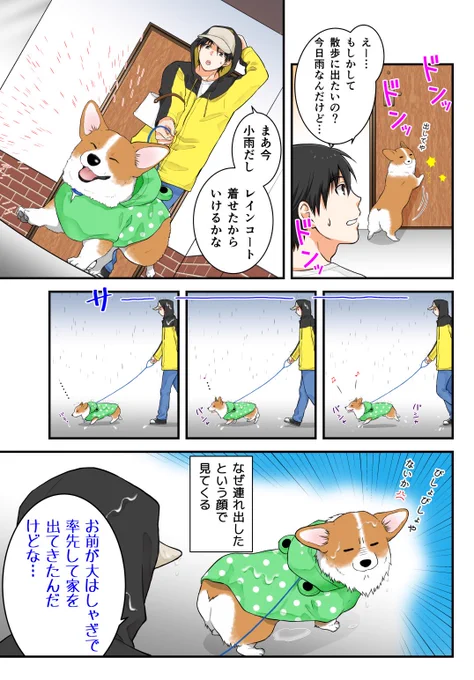 みるみるテンションが下がっていった雨の日 