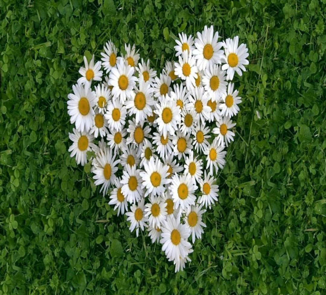 ð©ðŽmamiRD_ #LoveDeMami†AmigosDe†(@mamird_) on Twitter photo âââ³ââ®
â²â±â»â£â¯
ðº#TM_BFF
âŒðº#LV4GAB
ðº
<a href="/10Ghullam/">10ghulam</a>
@2lvgab
<a href="/Fer_TeamUnidoS/">TÎð
°ïžãœïžUÐÅÃð±S</a>
<a href="/_lawonder/">àŒº â¢â« ðð°ð¯ð¥ðŠð³ â«â¢ àŒ»</a>
<a href="/ISafeyet/">IsItSafeYet KKKommiela Ruined CA,USA Next?HatesICE</a>
<a href="/khalidaajzi/">ð¿khalidaajzið¿#AajziGainð¿</a>
<a href="/WALLI27/">Jhon f perezð¶ðžðµâ¯</a>
<a href="/Fer_M66/">@ð«Îââ®ïž_ãœïž66</a>
<a href="/mjetisky/">@ðð¿â¯ððŸððð</a>
<a href="/PetalsTm/">Randi #PetalsTm/admn for PetalTeams</a>
<a href="/shah_aajiz/">ðŸSHAH AAJIZðŸ#AajziGain ðŸ</a>
<a href="/alejandrator2/">#AlejandraTorARTE</a>
<a href="/swydersk/">Deb #TmPetaLð¹#Resistð #NeverTrump Enjoy the ride</a>
<a href="/SnoopyJose/">jose</a>
<a href="/Saori__M/">áŠÆª(Ëâ¡Ë)Êâ¡â³ÐÆŠÃ®Æ à®ïž â¡</a>
<a href="/mariajo66360450/">Maria José -ðð§ð·ðð§ð·ðð§ð·ð</a>
<a href="/Spencerjames211/">Spencer James #GAINWITHPETAL #TMPETAL #Teamspirit</a>
<a href="/YukariKingdom18/">ð¯ðããâ§âðð®ðµââ©Í¯â¢ÍÍâ§âðâ¢ÍÍâ©Í¯ââ¢Íâ§âðââ©Í¯â¢ÍÍâ§âð</a>
<a href="/miarianmoreno/">MIRIAN_RDð©ðŽ #LoveDMami â€AmigosDâ€</a> âââ³ââ®
â²â±â»â£â¯
ðº#TM_BFF
âŒðº#LV4GAB
ðº
<a href="/10Ghullam/">10ghulam</a>
@2lvgab
<a href="/Fer_TeamUnidoS/">TÎð
°ïžãœïžUÐÅÃð±S</a>
<a href="/_lawonder/">àŒº â¢â« ðð°ð¯ð¥ðŠð³ â«â¢ àŒ»</a>
<a href="/ISafeyet/">IsItSafeYet KKKommiela Ruined CA,USA Next?HatesICE</a>
<a href="/khalidaajzi/">ð¿khalidaajzið¿#AajziGainð¿</a>
<a href="/WALLI27/">Jhon f perezð¶ðžðµâ¯</a>
<a href="/Fer_M66/">@ð«Îââ®ïž_ãœïž66</a>
<a href="/mjetisky/">@ðð¿â¯ððŸððð</a>
<a href="/PetalsTm/">Randi #PetalsTm/admn for PetalTeams</a>
<a href="/shah_aajiz/">ðŸSHAH AAJIZðŸ#AajziGain ðŸ</a>
<a href="/alejandrator2/">#AlejandraTorARTE</a>
<a href="/swydersk/">Deb #TmPetaLð¹#Resistð #NeverTrump Enjoy the ride</a>
<a href="/SnoopyJose/">jose</a>
<a href="/Saori__M/">áŠÆª(Ëâ¡Ë)Êâ¡â³ÐÆŠÃ®Æ à®ïž â¡</a>
<a href="/mariajo66360450/">Maria José -ðð§ð·ðð§ð·ðð§ð·ð</a>
<a href="/Spencerjames211/">Spencer James #GAINWITHPETAL #TMPETAL #Teamspirit</a>
<a href="/YukariKingdom18/">ð¯ðããâ§âðð®ðµââ©Í¯â¢ÍÍâ§âðâ¢ÍÍâ©Í¯ââ¢Íâ§âðââ©Í¯â¢ÍÍâ§âð</a>
<a href="/miarianmoreno/">MIRIAN_RDð©ðŽ #LoveDMami â€AmigosDâ€</a>