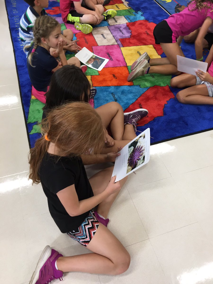 JoanCHoffman's tweet image. Students constructing arguments to support why their organism can survive best in a particular environment! #TCIscience #engageD64 #CAWow #D64smiles