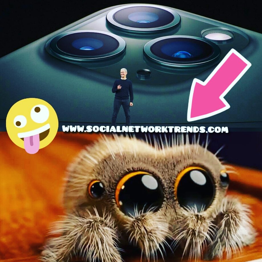 SEOMalkamDior's tweet photo. Tell me why the iphone pro looks like this cute ass spider! 😂📲Lol
.
.
#AppleEvent #iphonepro #iphonexr #iphone #iphonex #iphonexmax #xmax #iphonexpro #malkamdior #Samsung #iPhone11 #ilovetmobile https://t.co/Nz5OfGUn0o