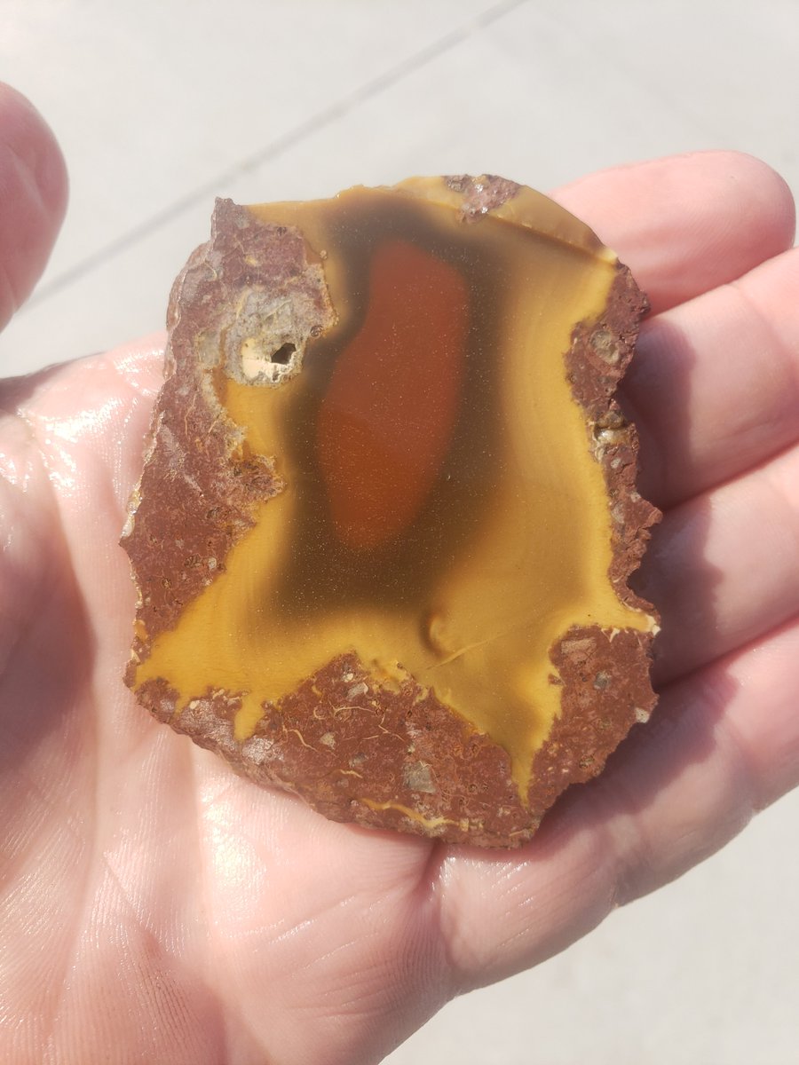 Altamont On Twitter Here S A Few Of The Slabs I Have Up For Sale On The Facebook Group Creative Slab Connection Tomorrow Altamont Deadcameljasper Deadringerjasper Nevada Lapidaryroughforsale Wonderstone Desertfirejasper Mescalerojasper