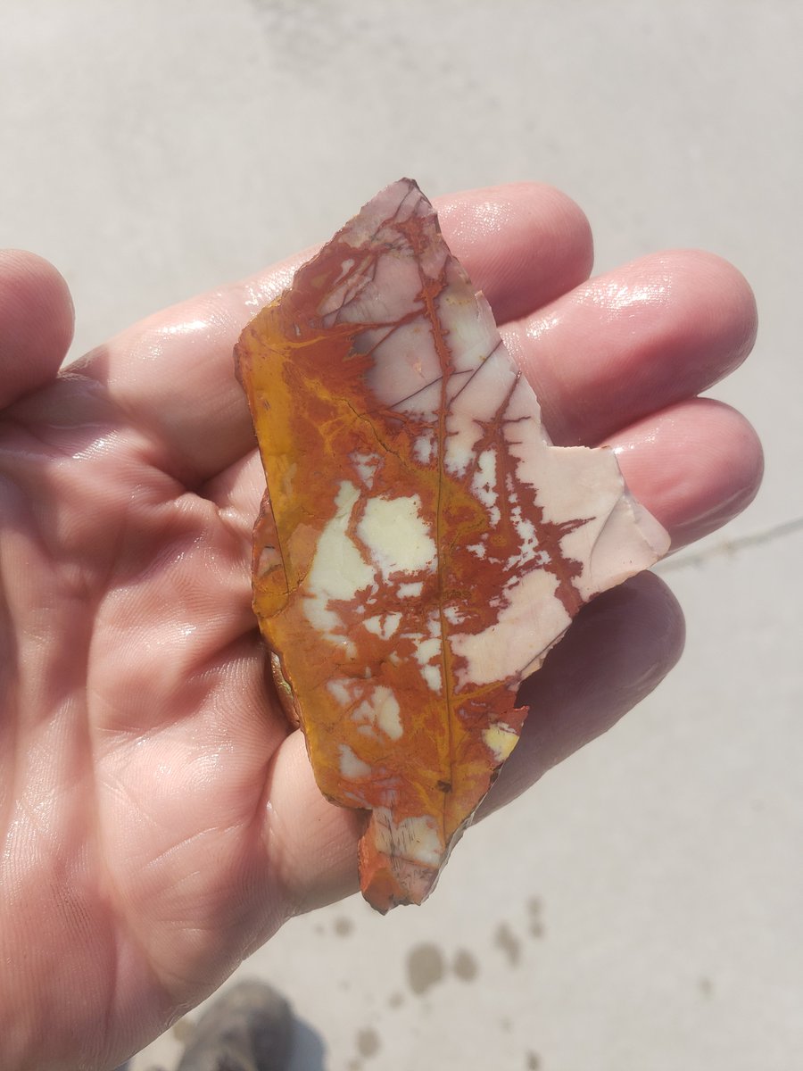 Altamont On Twitter Here S A Few Of The Slabs I Have Up For Sale On The Facebook Group Creative Slab Connection Tomorrow Altamont Deadcameljasper Deadringerjasper Nevada Lapidaryroughforsale Wonderstone Desertfirejasper Mescalerojasper