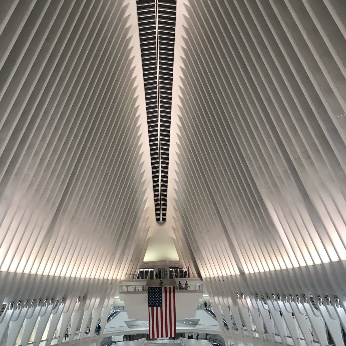 Lindasantangel1's tweet photo. πΊπΈ #occulas tonight #NewYorkCity
#WorldTradeCenter
#NeverForget911 #ny1pic #September11 #photos @ABC7NY @NY1 @JaniceHuff4ny https://t.co/DJ4ltyAKIU
