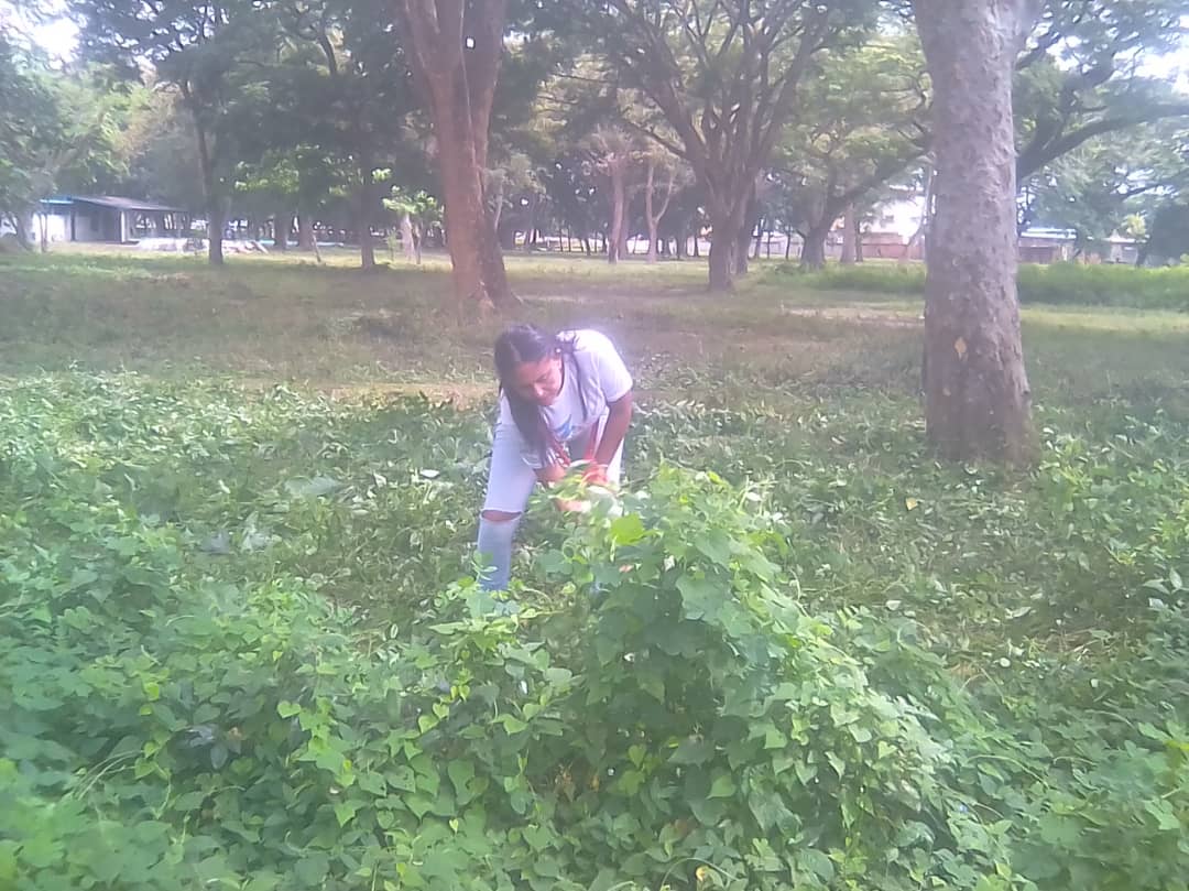 LIMPIEZA Y MANTENIMIENTO EN EL PARQUE MENCA DE LEONI DEL MUNICIPIO BIRUACA